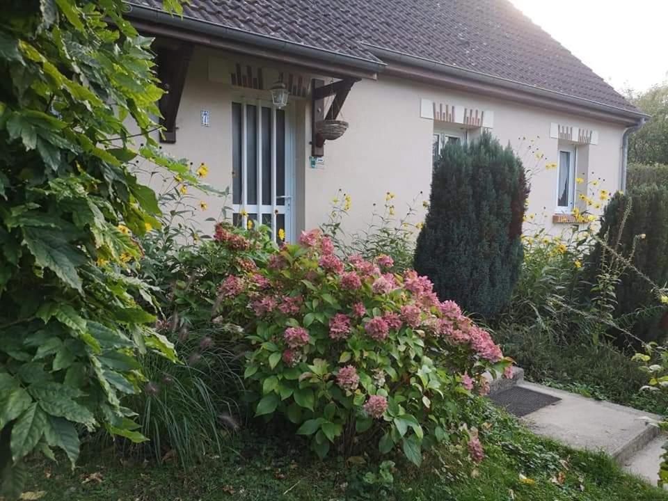 Chambre Fleurs De Lys Proche Zooparc De Beauval Et Des Chateaux De La Loire Couffy Dış mekan fotoğraf